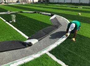 صورة لقسم العشب الإصطناعي